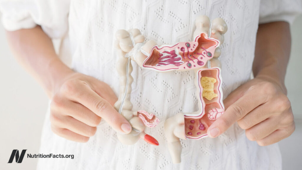 3 which foods help a leaky gut 1200x675.jpg