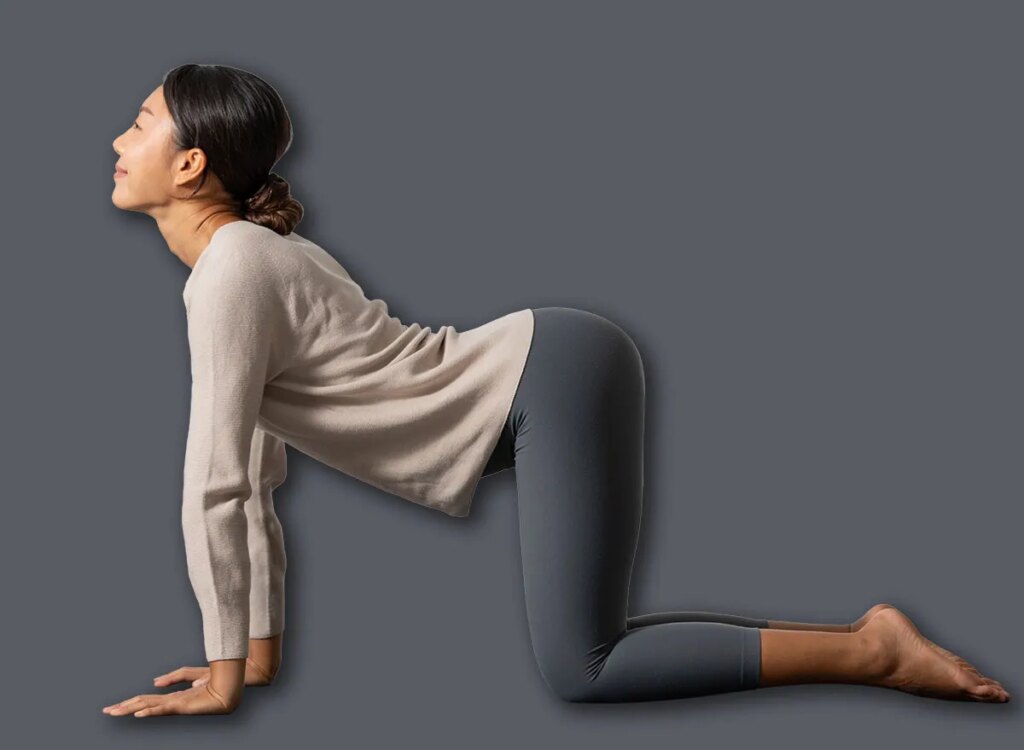 woman cat cow yoga exercise 2549846385.jpg
