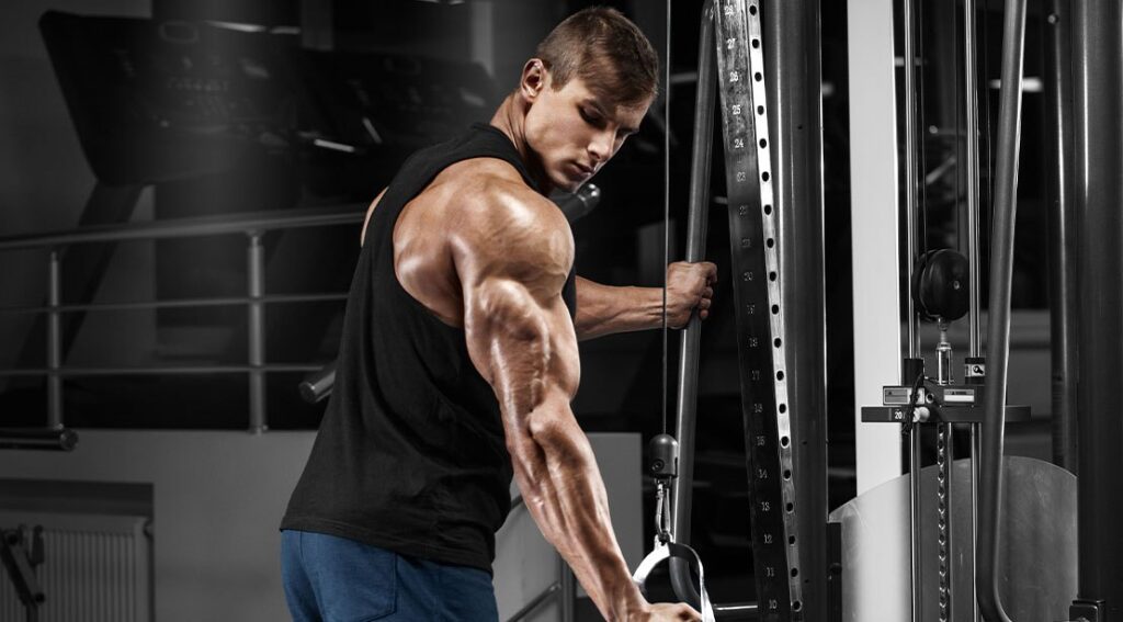 young athlete with muscular triceps perfroming a cable pulldown exercise.jpg